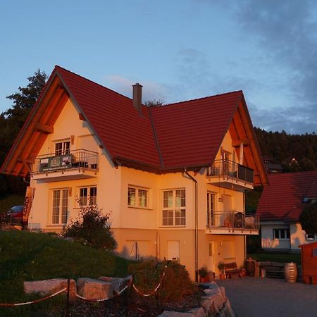 Apartment Ferienwohnung Brandmatt - Weitblick - 54Qm Засбахвальден Экстерьер фото